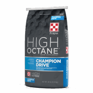 High Octane Champion Drive Supplement