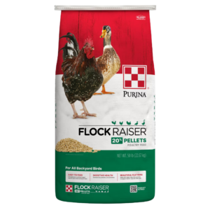 bag of Purina Flock Raiser Pellets