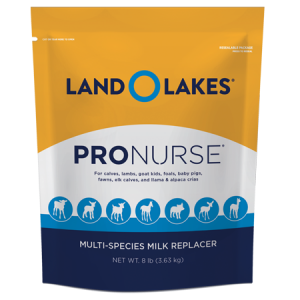 Land O Lakes Pro Nurse
