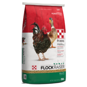 Purina Flock Raiser Crumbles & Pellets 50-lb bags