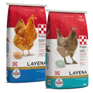 Purina Layena Pellets or Crumbles