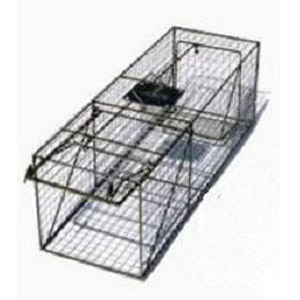 Pied Piper Live Animal Trap