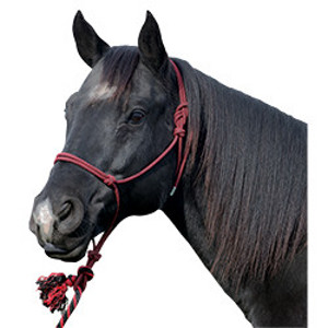 Rope Halter Silvertip No. 95