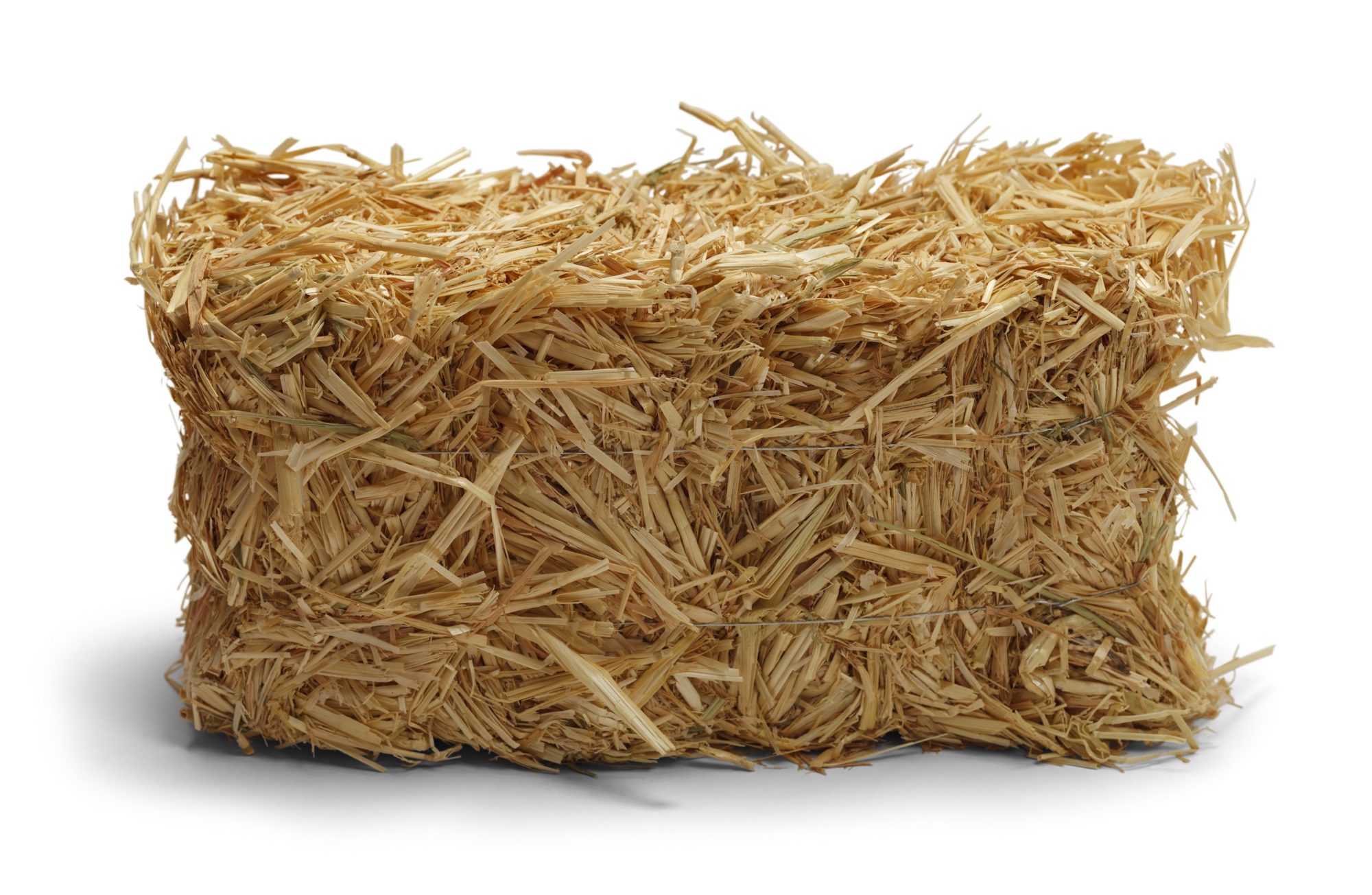 hay-kissimmee-valley-feed