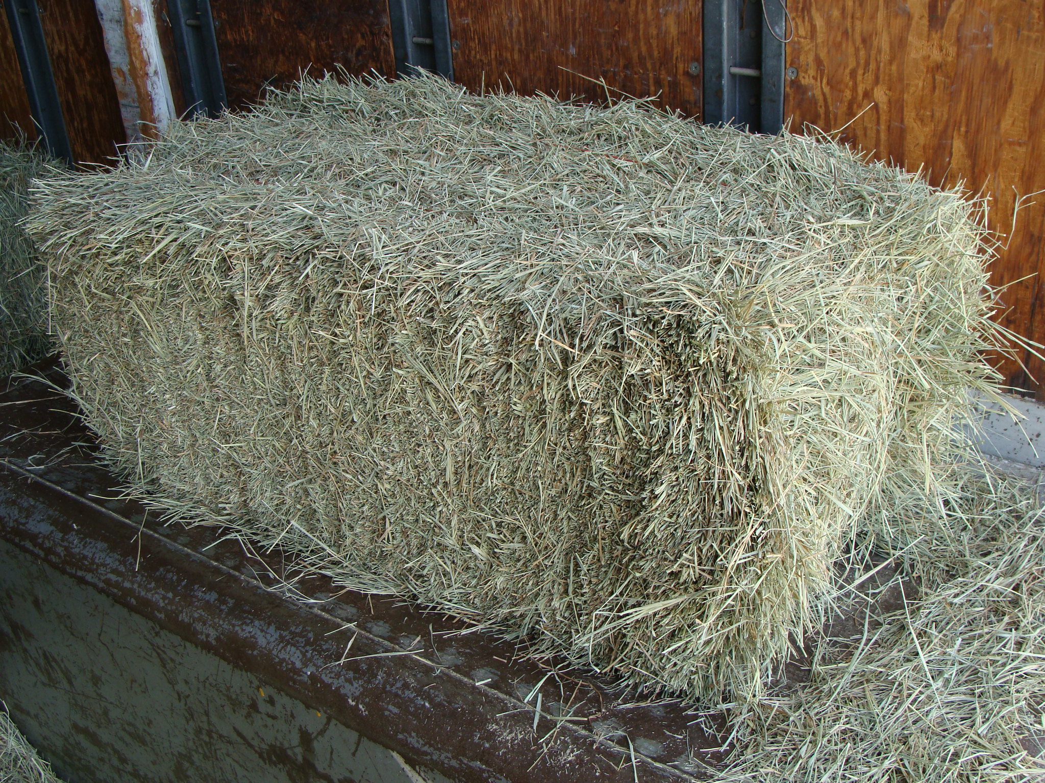 Coastal Hay Bales