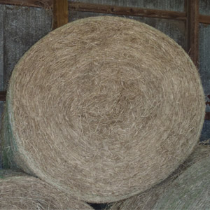 Coastal Hay Roll