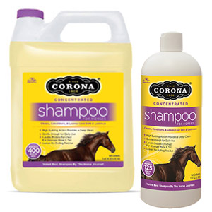 Corona® Equine Shampoo