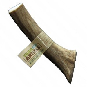 Prarie Dog Antler Dog Treats