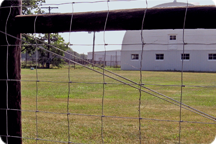 BEKAERT HIGH TENSILE FIELD FENCE