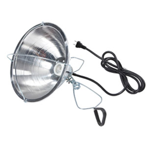 Little Giant Brooder Reflector Lamp