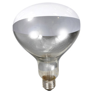 Little Giant Clear 250 Watt Brooder Bulb