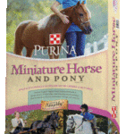 mini_horse