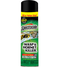 Spectracide® Wasp & Hornet Killer