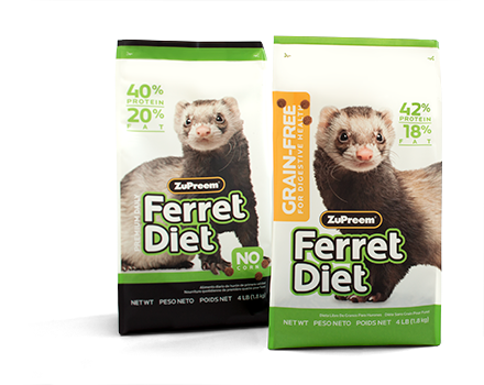 PREMIUM FERRET DIET