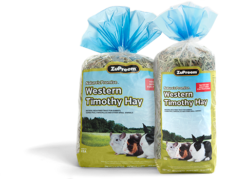 NATURES PROMISE® WESTERN TIMOTHY HAY