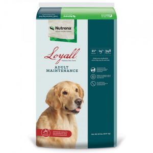 Nutrena Loyall Adult Maintenance Dog Food