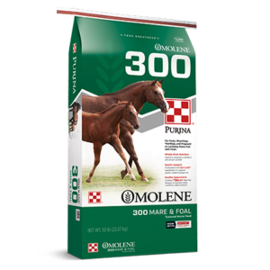 Purina Omolene 300 Horse Feed