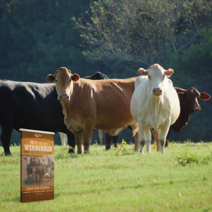 Cattle Mineral Quick Tips