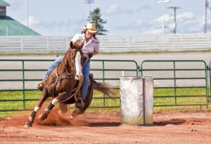 Deworming Your Horse