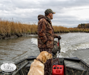 Prepping Your Hunting Dog