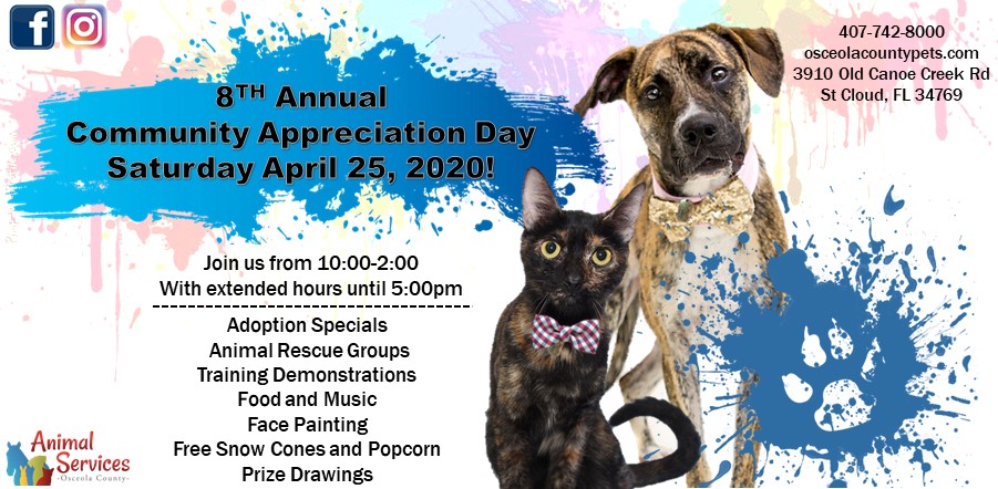 osceola animal shelter saint cloud florida