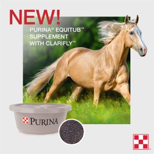 Purina EquiTub supplement