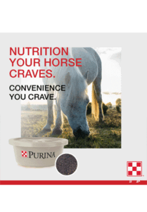 Purina Equitub