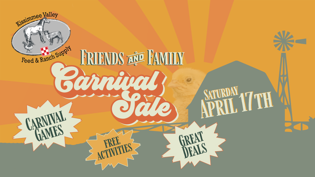 friends and family carnival sale