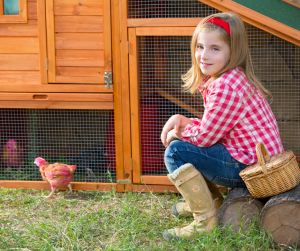 chicken coop