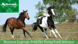 Nutrena Legends/ProElite Horse Feed Seminar