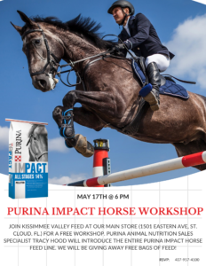 Purina Impact Horse Workshop