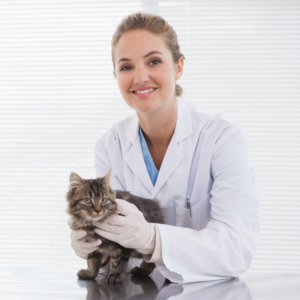 Vets4Pets