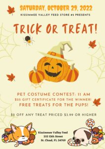Trick or Treat: Pet Costume Party