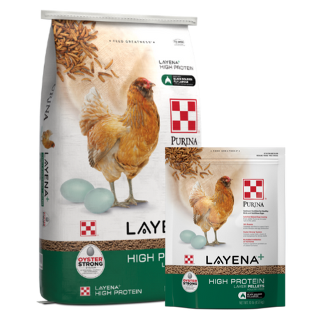 Purina Layena+ High Protein Layer Pellets. Available in 10-lb and 40-lb bags.