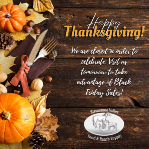 Closed Thanksgiving Day