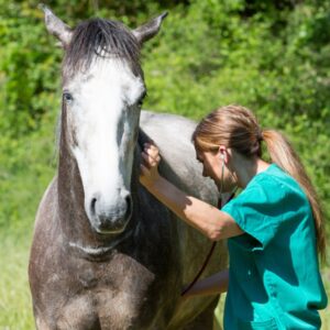 Common Agricultural Antibiotics Now Require Prescription