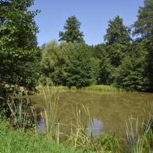 Pond Care
