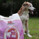 May 2025 Astro Sales at Store #2 - Large Bags of Dry Dog Food redbarn