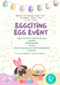 Eggciting Egg Event details on a flyer with a dog wearing easter bunny costume
