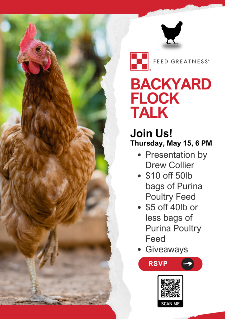 Flyer Details of Backyard Flock Talk