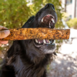 Dog. chewing on Redbarn Bully Slices® Hickory BBQ Flavor, a May 2025 Astro Sale product