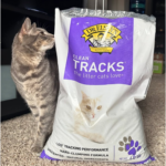 May 2025 Astro Sale - Cat standing next to bag of Dr. Elsey's litter