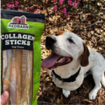 Dog next to pack of Large Collagen Sticks