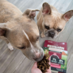 two dogs eating handful of Small Bags of Dry Dog Food