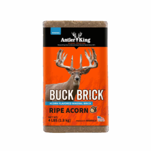 Block of Antler King Acorn Flavored Buck Brick