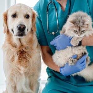 Cat and Dog held by vet -we have Vets on Site at Store #2