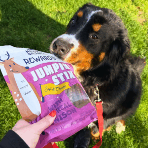 Dog with Natural Balance Dog Treat held out to him - get these for a steal during July 2026 Astro Sales at Store #2