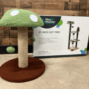 One of our Max & Marlow Cat Trees at the store, a cute green mushroom shape