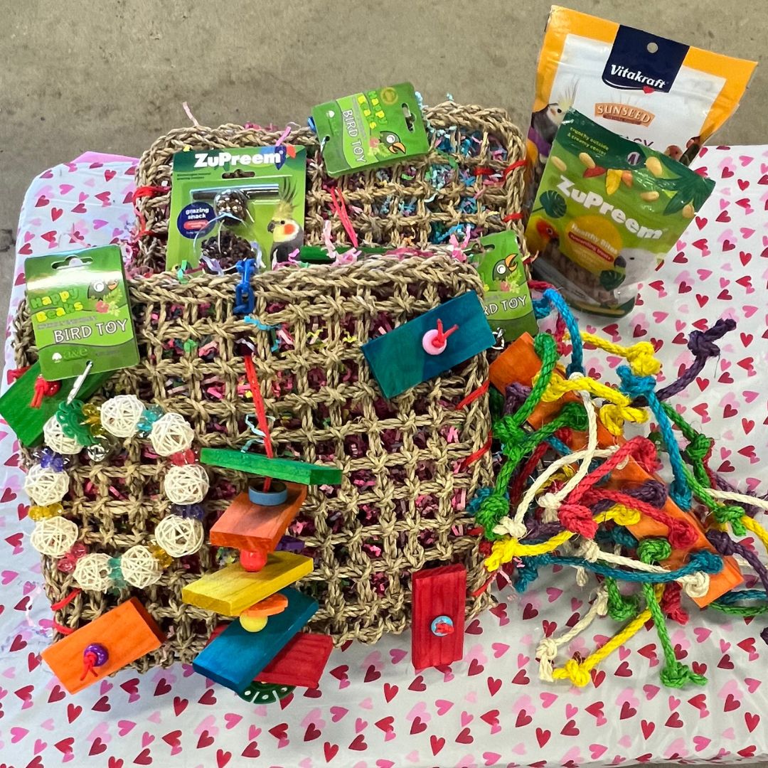 Colorful arrangement of bird toys and feed - show your birdie some love this valentine's day