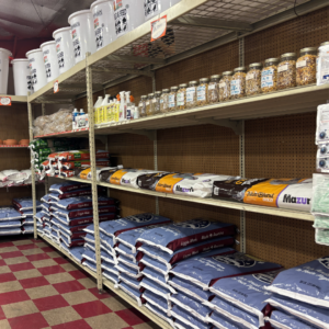 New section at the Main Store dedicated to pigeon, image shows Mazuri Pigeon Feed and Lizzie Mae's brand